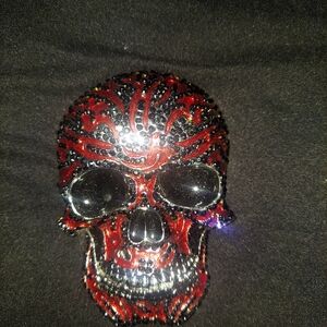 Skull Belt Buckle.